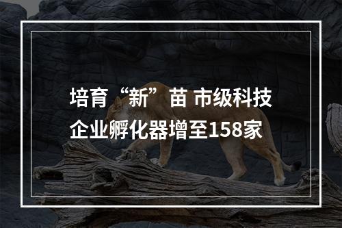 培育“新”苗 市级科技企业孵化器增至158家