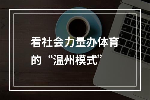 看社会力量办体育的“温州模式”