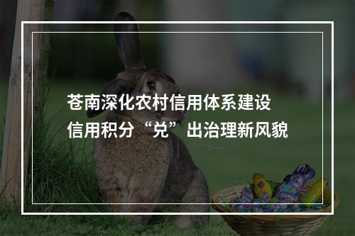 苍南深化农村信用体系建设 信用积分“兑”出治理新风貌
