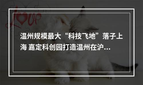 温州规模最大“科技飞地”落子上海 嘉定科创园打造温州在沪研发总部