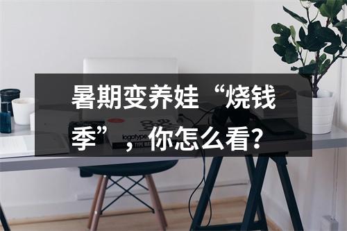 暑期变养娃“烧钱季”，你怎么看？