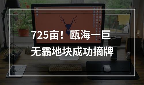 725亩！瓯海一巨无霸地块成功摘牌