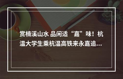 赏楠溪山水 品闲适“嘉”味！杭温大学生乘杭温高铁来永嘉追风