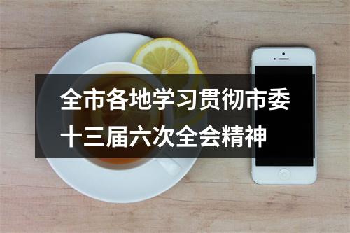 全市各地学习贯彻市委十三届六次全会精神