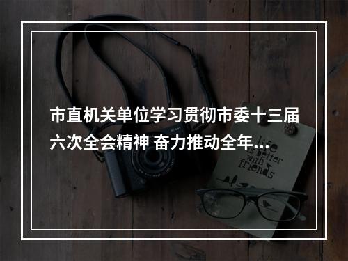市直机关单位学习贯彻市委十三届六次全会精神 奋力推动全年重点任务落地见效