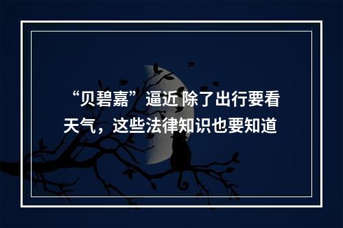 “贝碧嘉”逼近 除了出行要看天气，这些法律知识也要知道