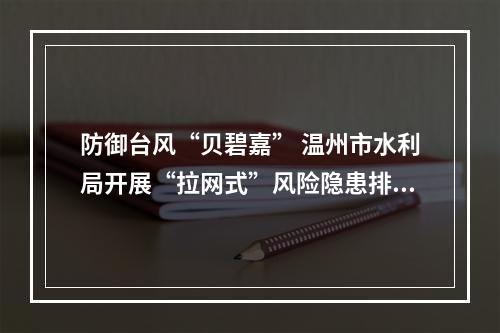 防御台风“贝碧嘉” 温州市水利局开展“拉网式”风险隐患排查