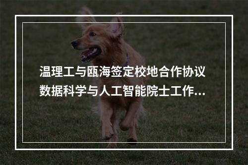 温理工与瓯海签定校地合作协议 数据科学与人工智能院士工作坊正式揭牌