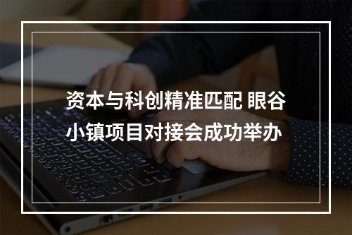 资本与科创精准匹配 眼谷小镇项目对接会成功举办