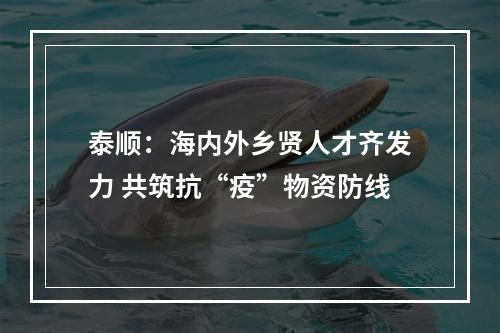 泰顺：海内外乡贤人才齐发力 共筑抗“疫”物资防线