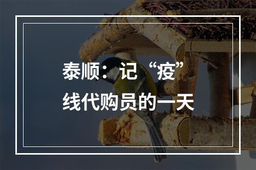 泰顺：记“疫”线代购员的一天
