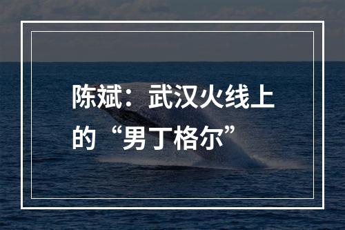 陈斌：武汉火线上的“男丁格尔”