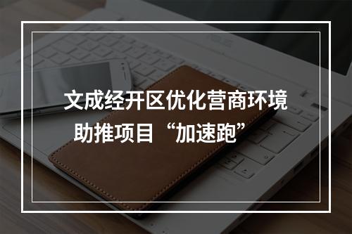 文成经开区优化营商环境  助推项目“加速跑”