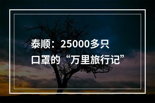泰顺：25000多只口罩的“万里旅行记”