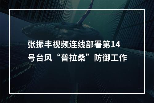 张振丰视频连线部署第14号台风“普拉桑”防御工作