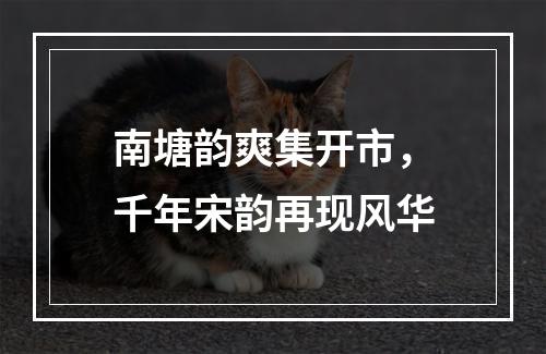 南塘韵爽集开市，千年宋韵再现风华