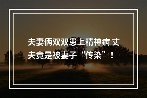 夫妻俩双双患上精神病 丈夫竟是被妻子“传染”！