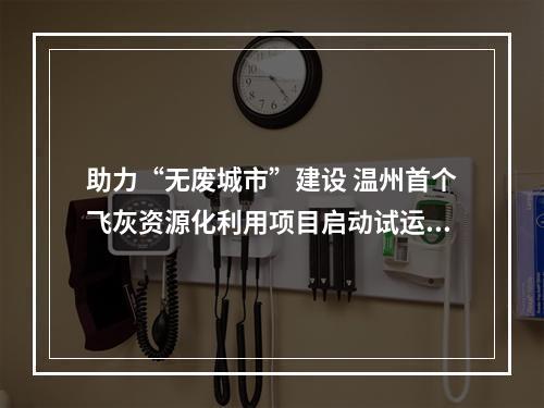 助力“无废城市”建设 温州首个飞灰资源化利用项目启动试运行