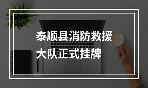 泰顺县消防救援大队正式挂牌