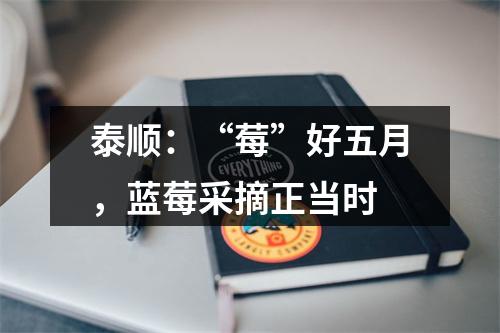 泰顺：“莓”好五月，蓝莓采摘正当时