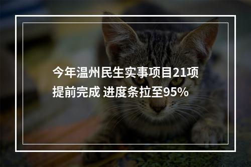 今年温州民生实事项目21项提前完成 进度条拉至95%