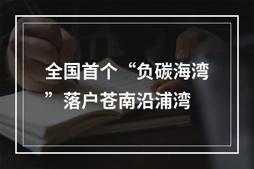 全国首个“负碳海湾”落户苍南沿浦湾