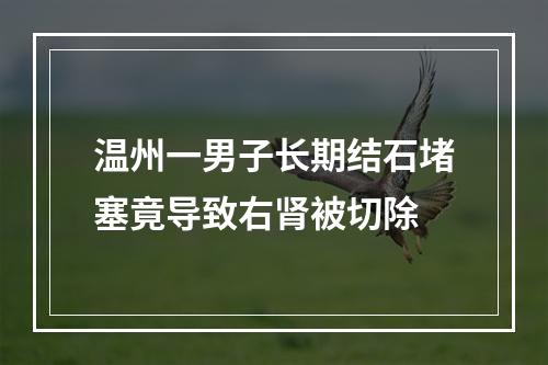 温州一男子长期结石堵塞竟导致右肾被切除