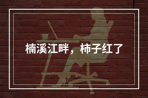 楠溪江畔，柿子红了