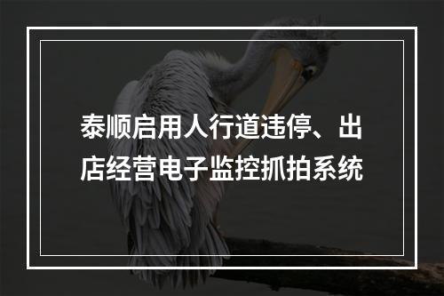 泰顺启用人行道违停、出店经营电子监控抓拍系统