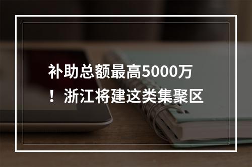补助总额最高5000万！浙江将建这类集聚区