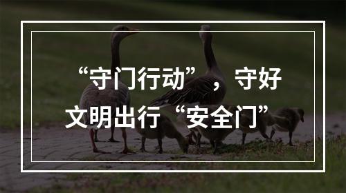 “守门行动”，守好文明出行“安全门”