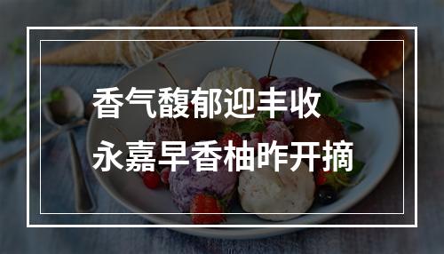 香气馥郁迎丰收 永嘉早香柚昨开摘