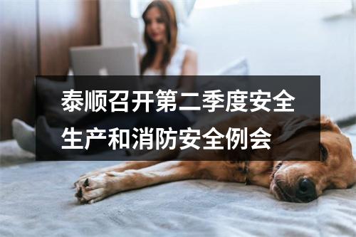 泰顺召开第二季度安全生产和消防安全例会