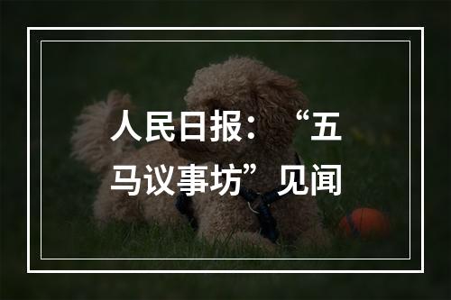 人民日报：“五马议事坊”见闻