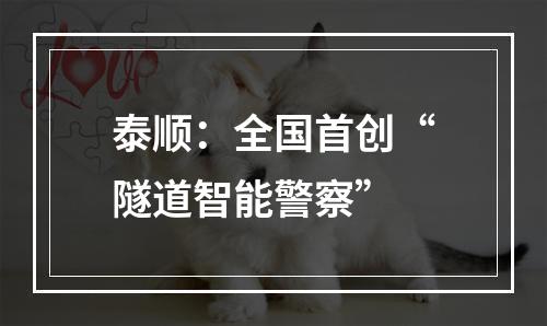 泰顺：全国首创“隧道智能警察”