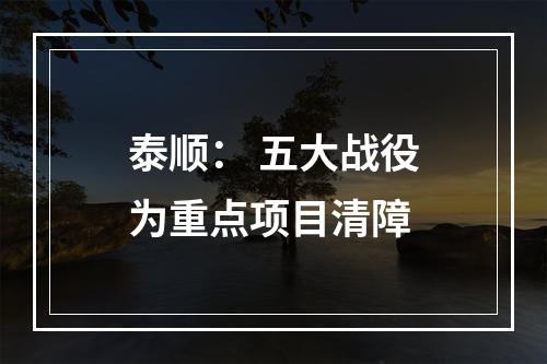 泰顺： 五大战役为重点项目清障