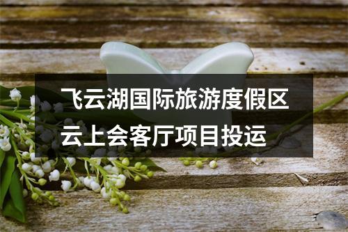 飞云湖国际旅游度假区云上会客厅项目投运