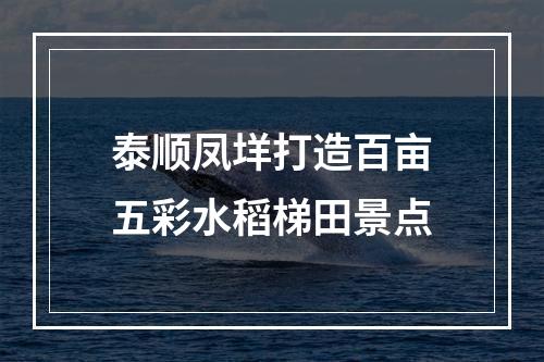 泰顺凤垟打造百亩五彩水稻梯田景点