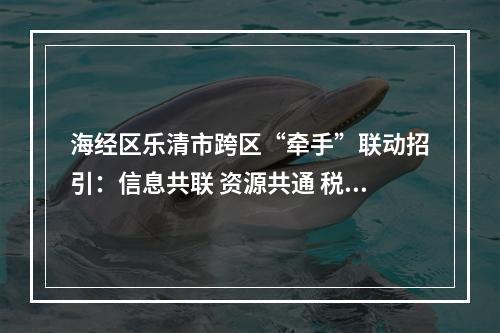 海经区乐清市跨区“牵手”联动招引：信息共联 资源共通 税收共享