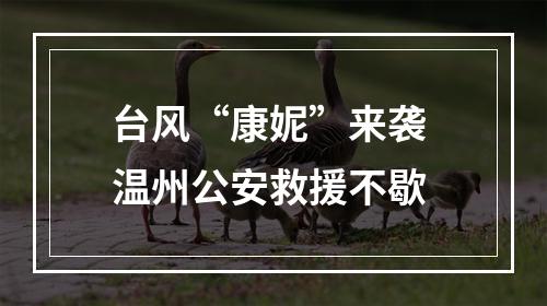 台风“康妮”来袭 温州公安救援不歇