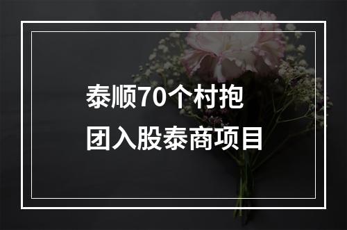 泰顺70个村抱团入股泰商项目