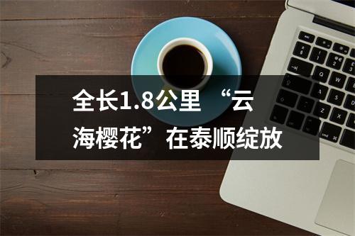 全长1.8公里 “云海樱花”在泰顺绽放