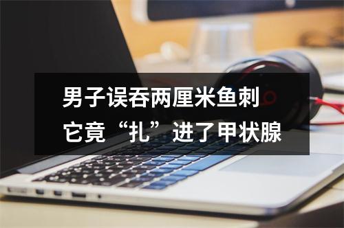 男子误吞两厘米鱼刺 它竟“扎”进了甲状腺