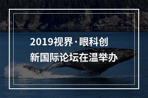 2019视界·眼科创新国际论坛在温举办