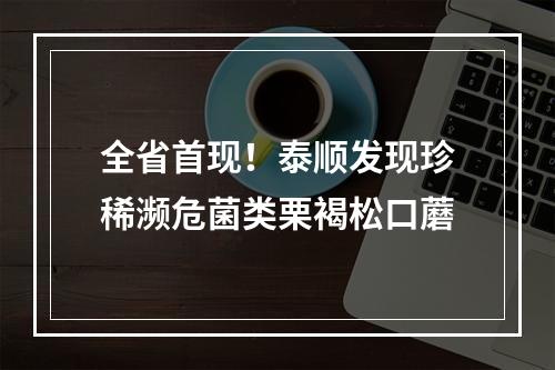 全省首现！泰顺发现珍稀濒危菌类栗褐松口蘑