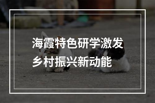 海霞特色研学激发乡村振兴新动能