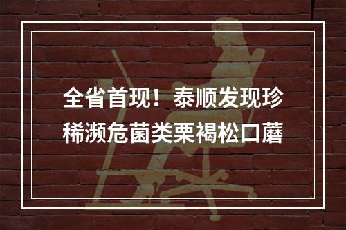 全省首现！泰顺发现珍稀濒危菌类栗褐松口蘑