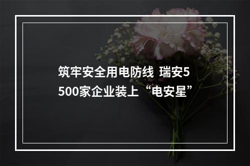 筑牢安全用电防线  瑞安5500家企业装上“电安星”