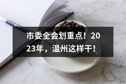 市委全会划重点！2023年，温州这样干！