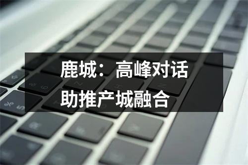 鹿城：高峰对话助推产城融合